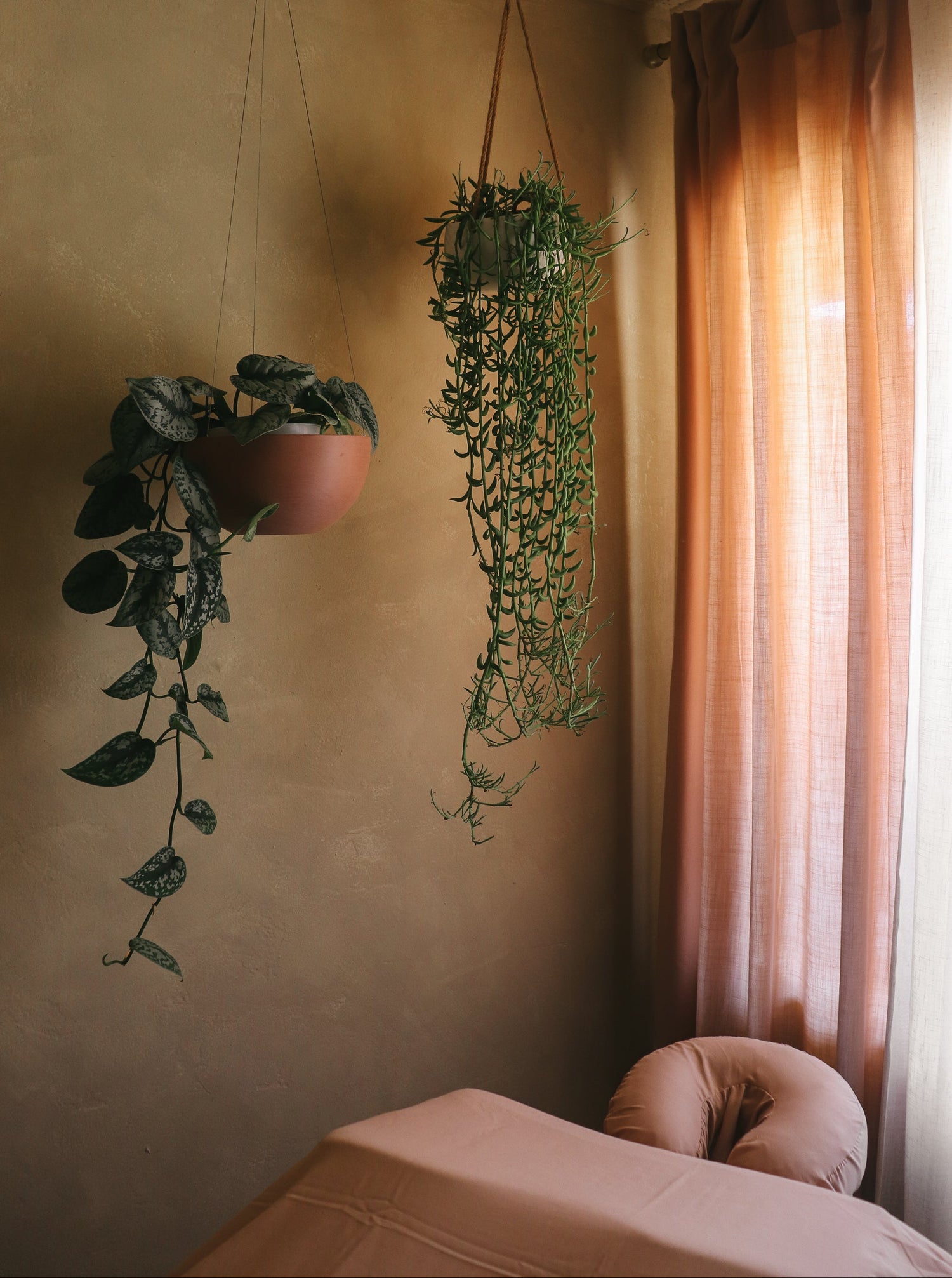 A cozy interior corner with two hanging green plants suspended from the ceiling, a pink massage table at the bottom right, and peach-pink curtains by a window.